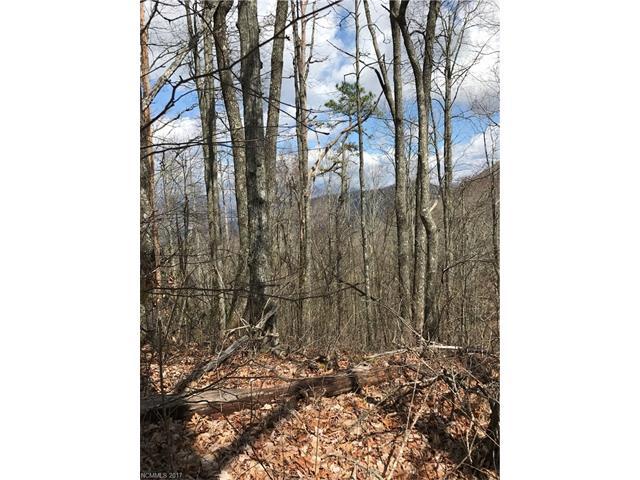 Lot 7 Section 10 Julalbo Road - Photo 1