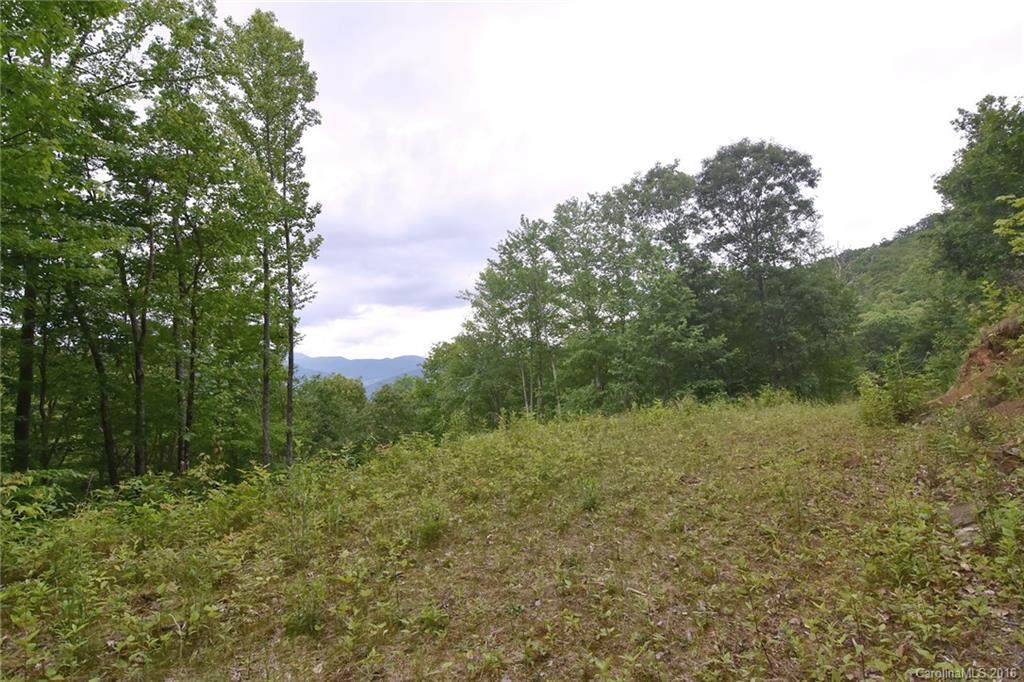 110 Big Bear Road - Photo 1