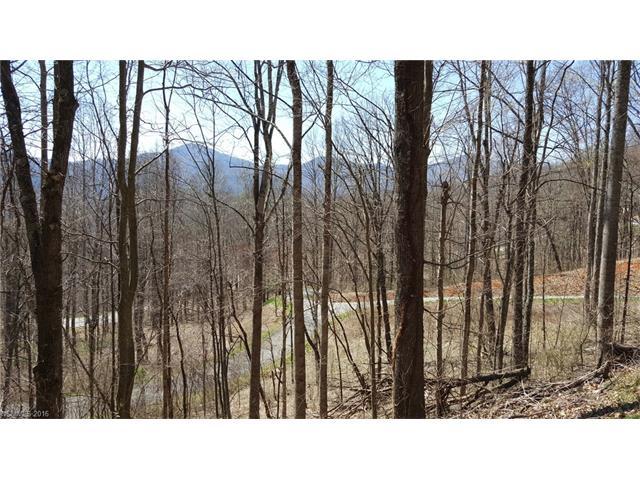 Lot 16 Mountain Watch Drive - Photo 1