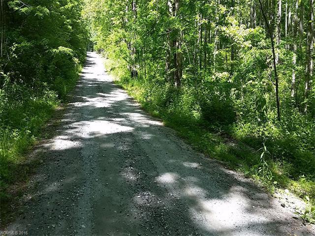 000 Martins Creek Road - Photo 1