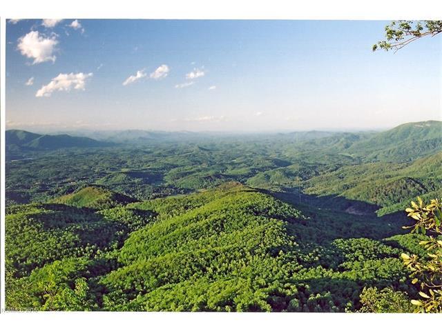 93 High Cliffs Trail - Photo 1