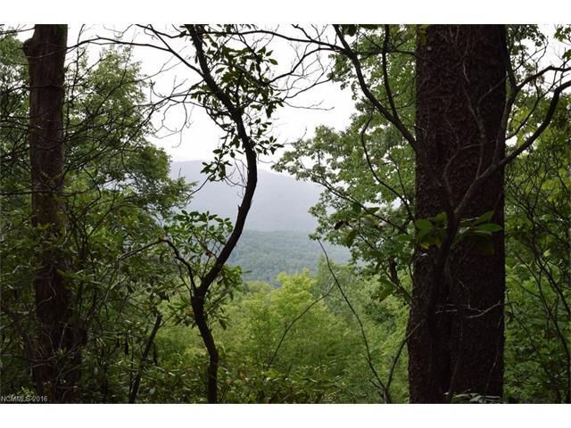 Lot 45 Ridgecrest Drive - Photo 1