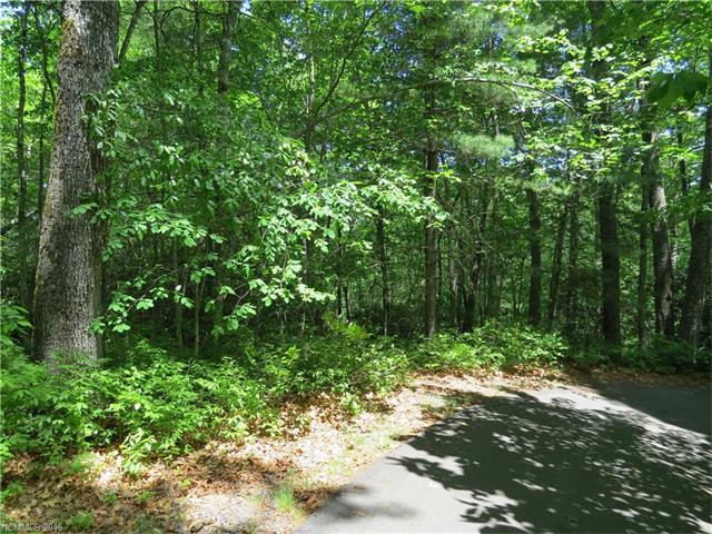 L 24 & 25 Pheasant Run - Photo 1