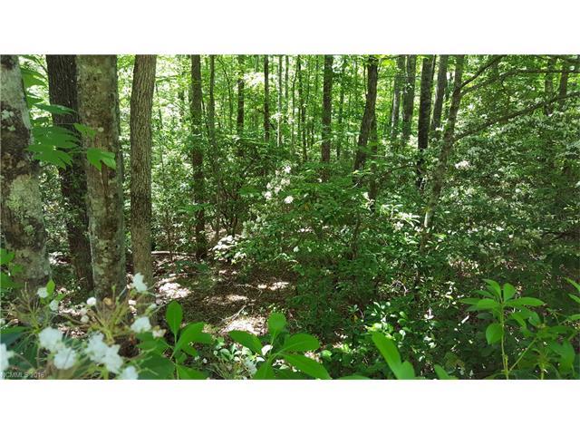 21 Sequoyah Woods Drive - Photo 1