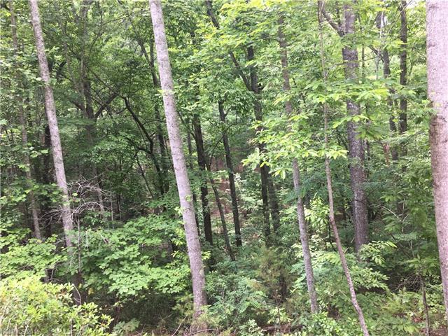 64 Raven Boulevard - Photo 1