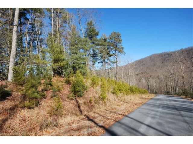 Lot 72 Peppervine Circle - Photo 1