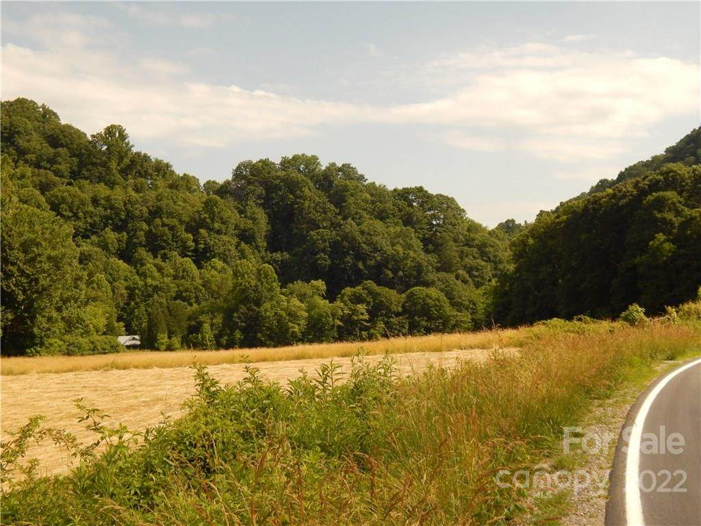 0 Nc 209 Highway - Photo 1