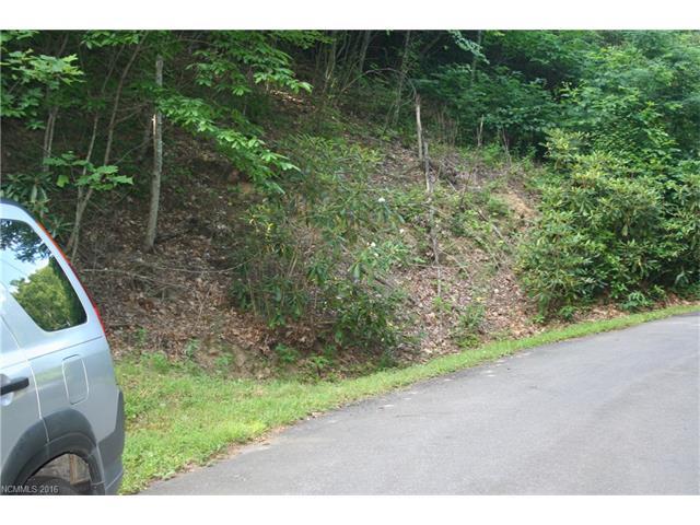 Lot 16 Wildflower Cove Road - Photo 1