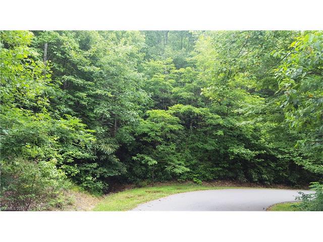 Lot 146 Mt Hebron/Crooked Creek Road - Photo 1