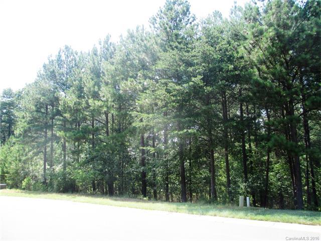 3028 Lake Pointe Drive - Photo 1