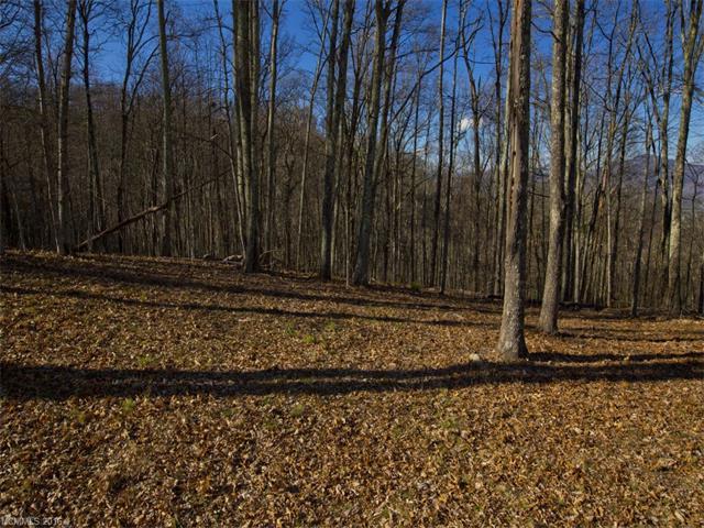 Lot #57-R Comanche Trail - Photo 1