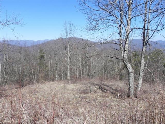 Lot 337 Ebby Ridge - Photo 1