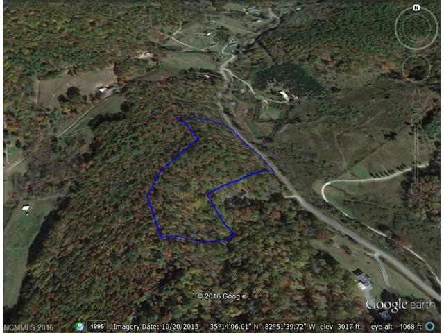0000 Shoal Creek Road - Photo 1