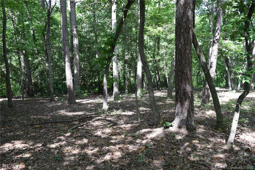 145 Pattersons Bridge - Photo 1