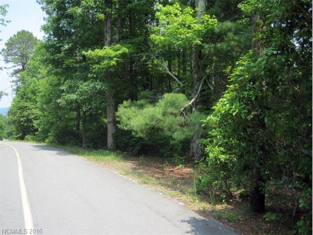 xxx Pisgah Forest Drive - Photo 1