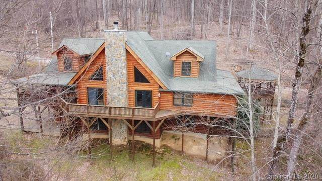 1028 Appaloosa Trail - Photo 1