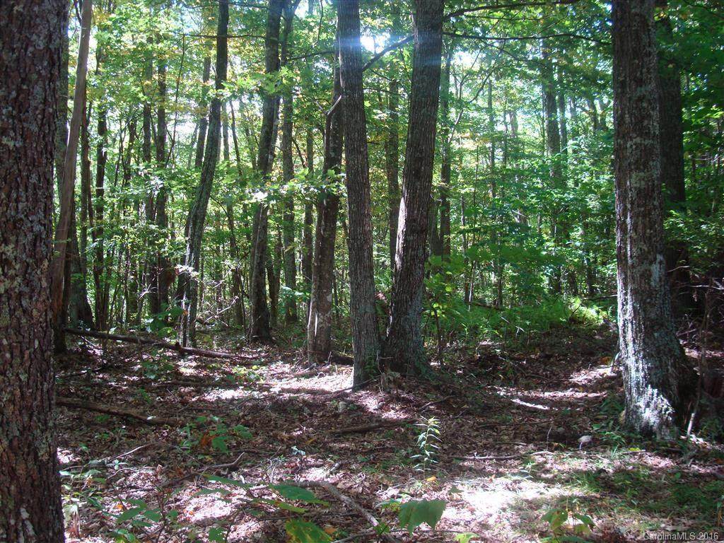 14/15 Deer Run Road - Photo 1