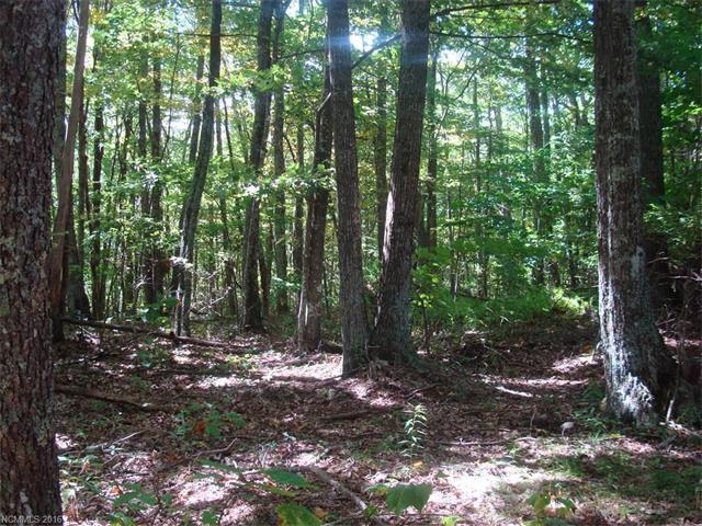 14/15 Deer Run Road - Photo 1