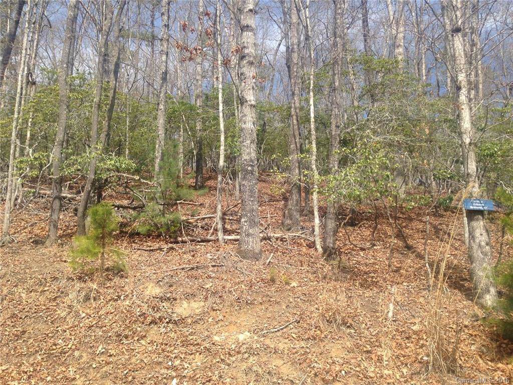 0 Mills River Way - Photo 1