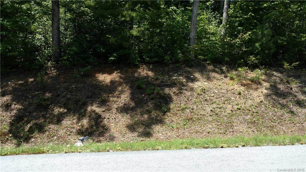 Lot 9 Silver Maple Trail - Photo 1