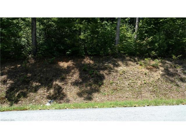 Lot 9 Silver Maple Trail - Photo 1