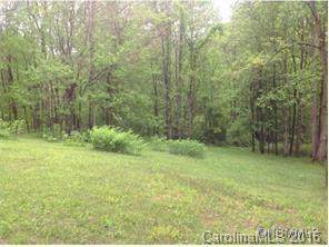 none Balsam Meadows Road - Photo 1