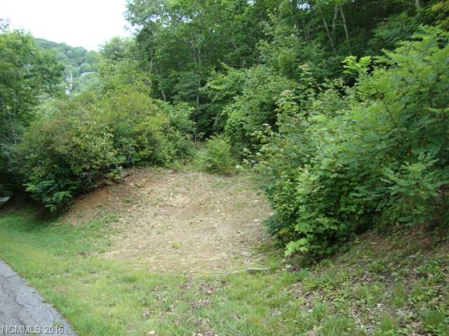 B-11 Leatherwood Road - Photo 1
