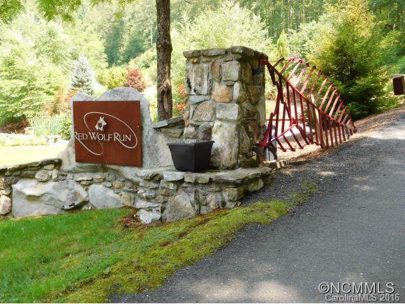 000 Red Wolf Run Road - Photo 1