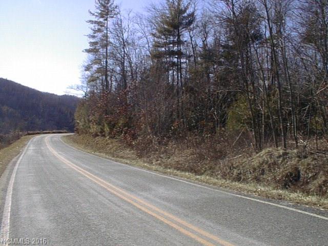 0 Little Buck Hill Road - Photo 1