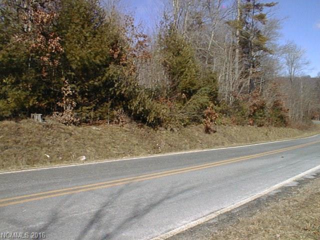 0 Little Buck Hill Road - Photo 1