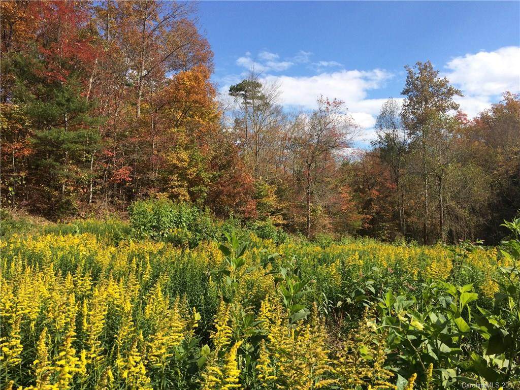291 Peppers Creek Road - Photo 1
