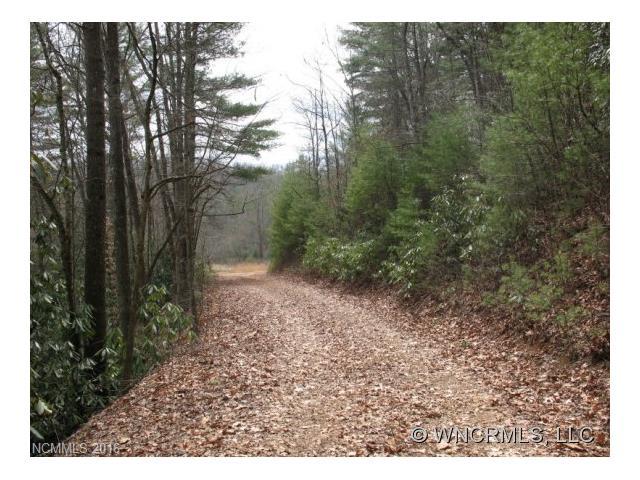 0 Brannon Road - Photo 1