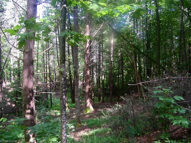 LOT 21 Nicholas Lane - Photo 1
