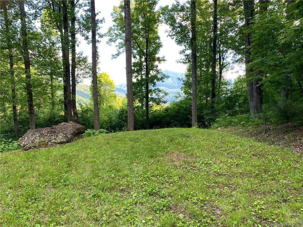 1323 Shoal Creek Road - Photo 1