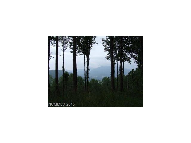 1323 Shoal Creek Road - Photo 1