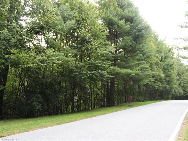 LOT 415 Chattooga Run - Photo 1