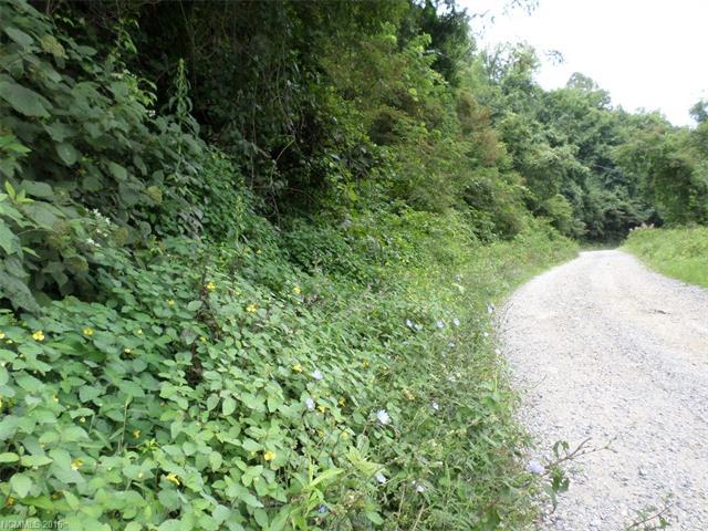 177 Bearwallow Trail - Photo 1