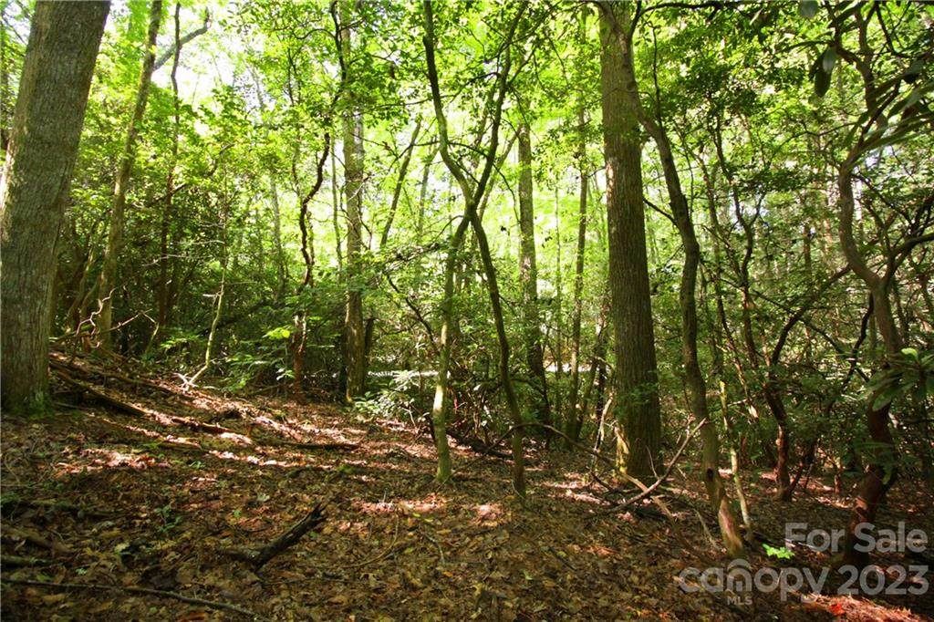 Lot 13 Laurel Ridge Road - Photo 1 Lot 13 Laurel Ridge Road - Photo 1