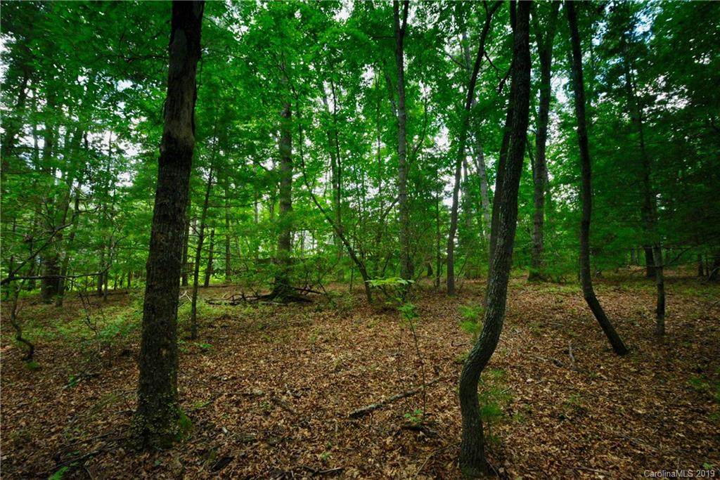 79 Running Creek Trail - Photo 1