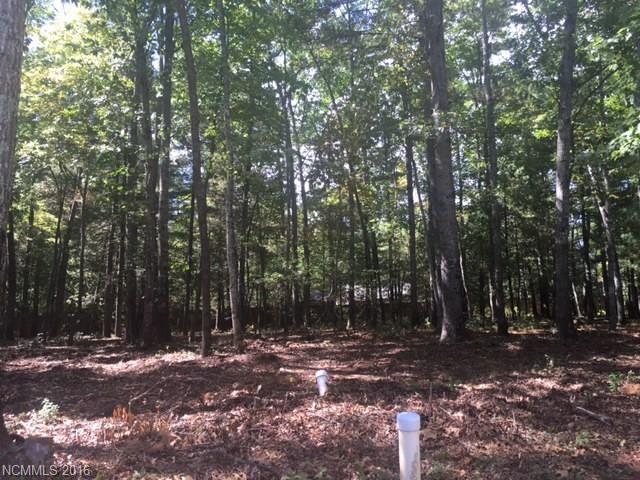 79 Running Creek Trail - Photo 1
