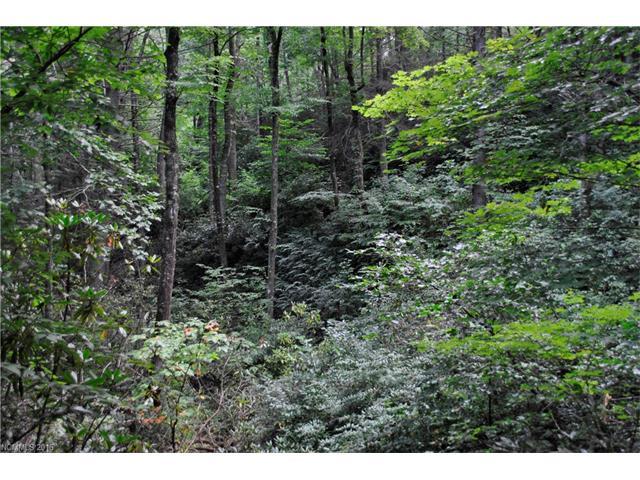 99999 Deer Run Road - Photo 1