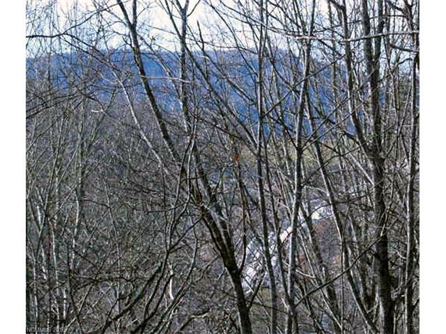 Lot 38 Falls View Drive - Photo 1
