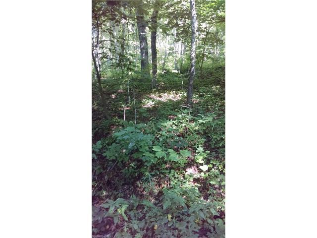 00 Skyline Drive - Photo 1