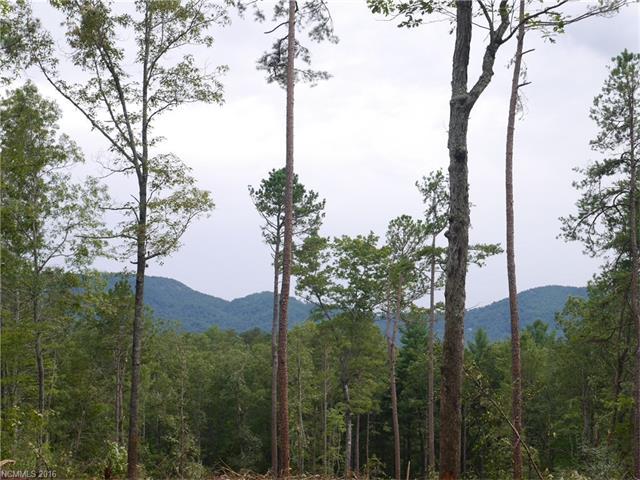 tbd Salem Church Road - Photo 1