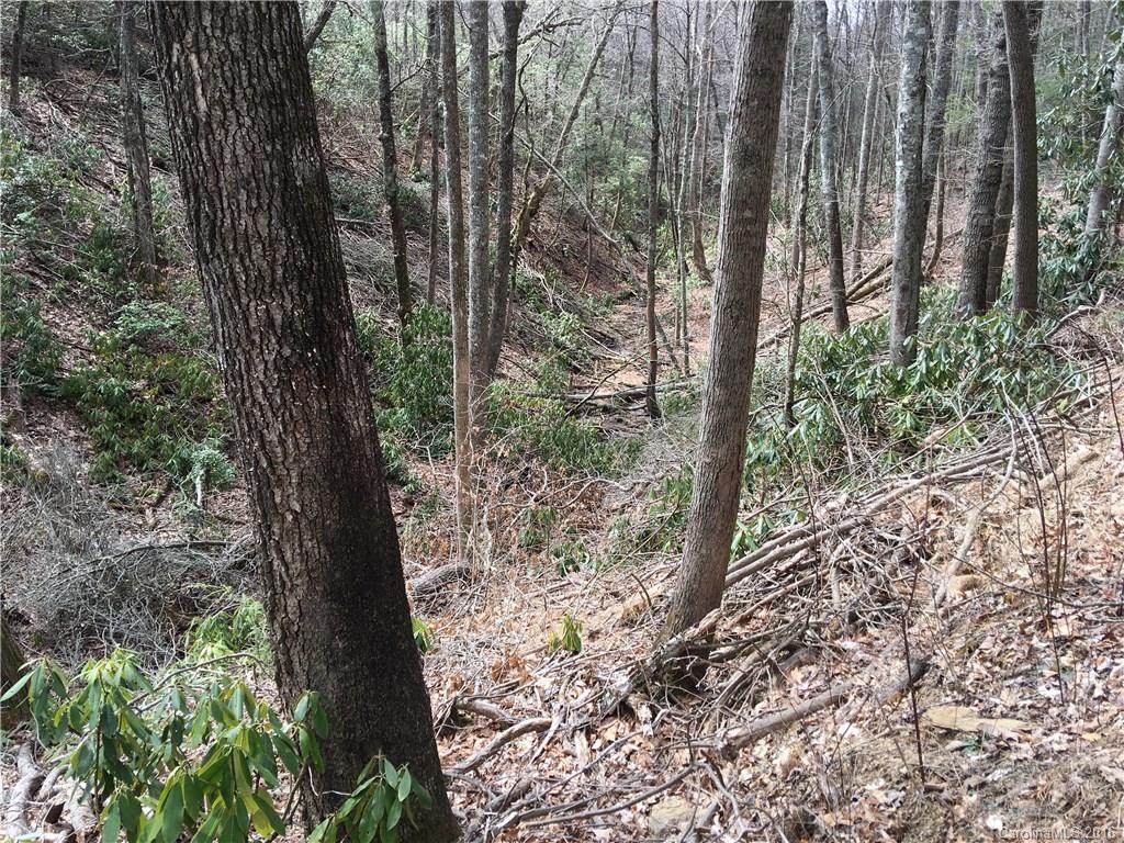 10 acres Old Wagon Trail - Photo 1