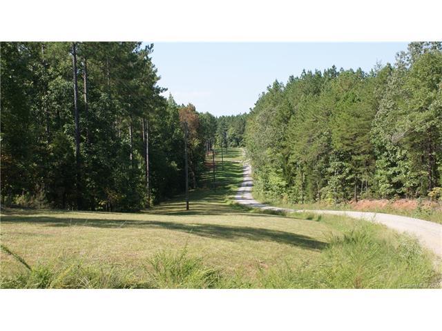 38.52 Acres Parsons Road - Photo 1