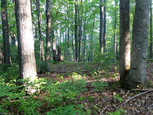 Lot 1 Steel Creek Road - Photo 1