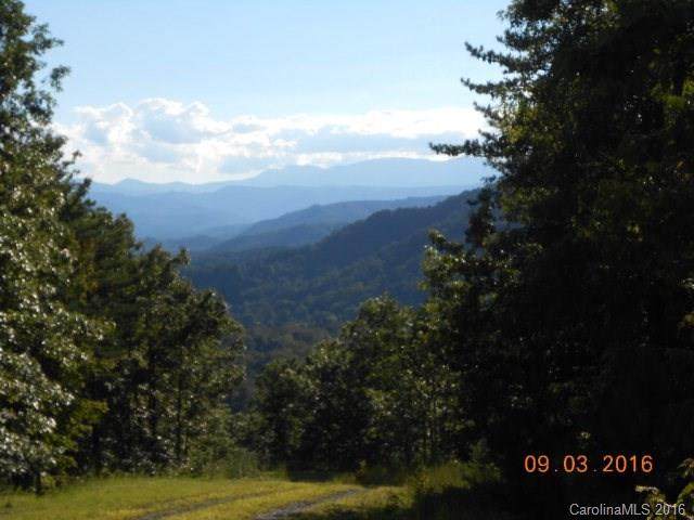 Lot 17 Fox Ridge - Photo 1
