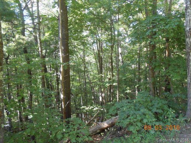 Lot 15 & 18 Fox Ridge - Photo 1