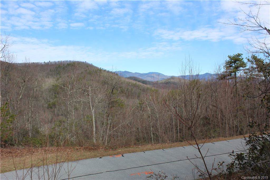 Lot 204 Catawba Falls Parkway - Photo 1